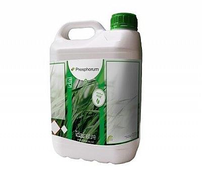 Idai PHOSPHORUM 
